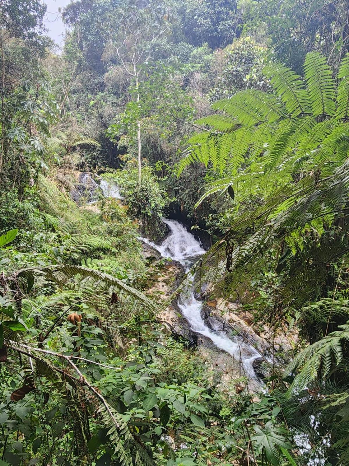 La Serena Reserva Natural Concepcion Екстериор снимка